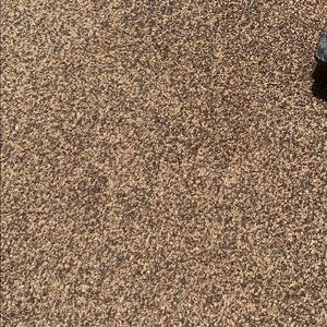 Meet your Posher, Ahuva